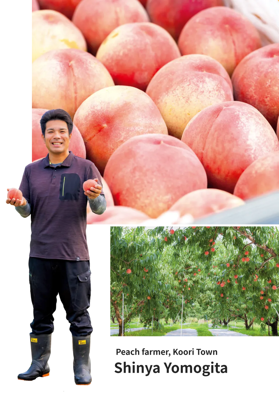 Shinya YomogitaPeach farmer, Koori Town