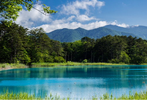 Attractions of Fukushima: nature, culture, cuisine, and hope