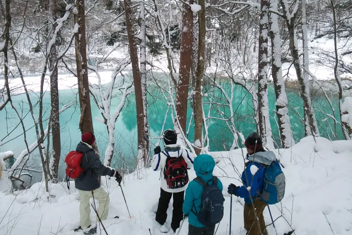 Ruta con raquetas de nieve 1