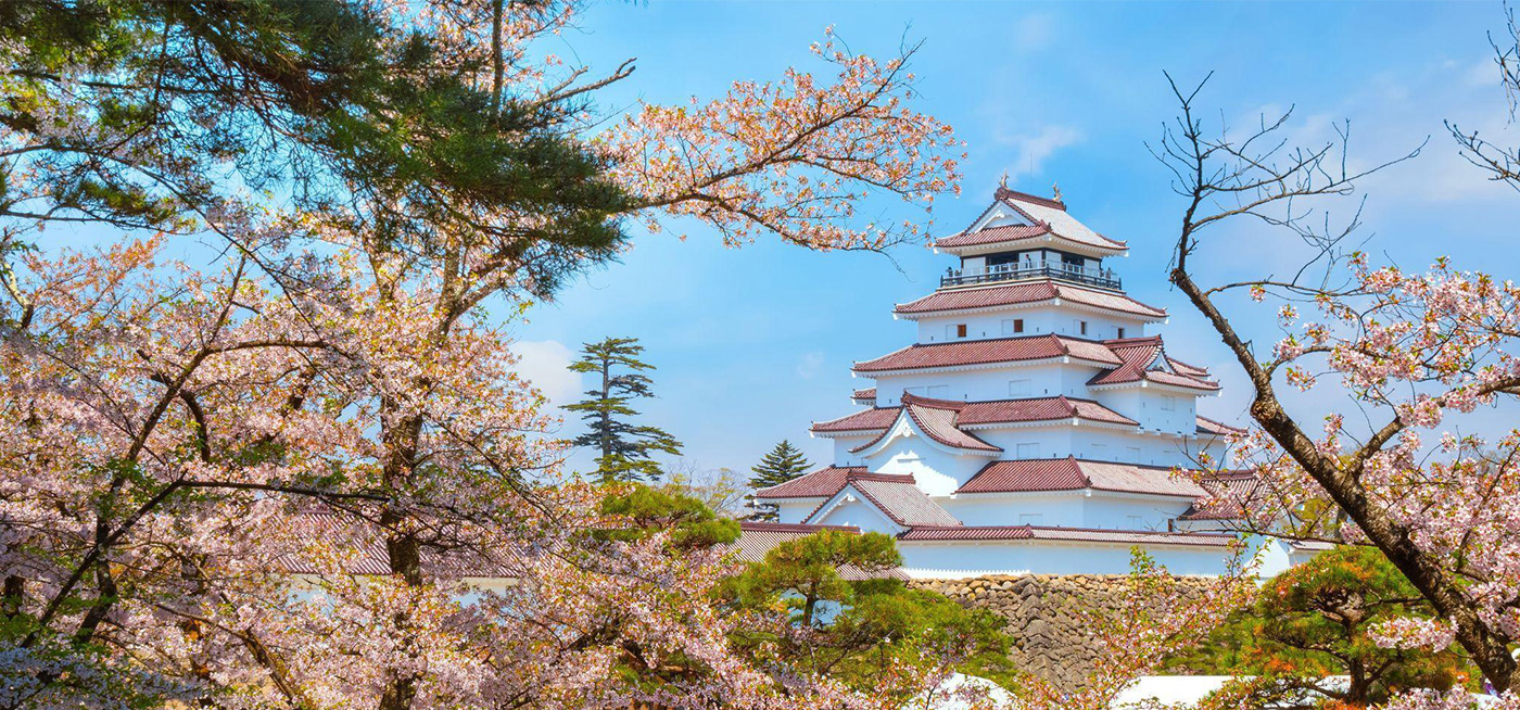 会津若松 鶴ヶ城と満開の桜