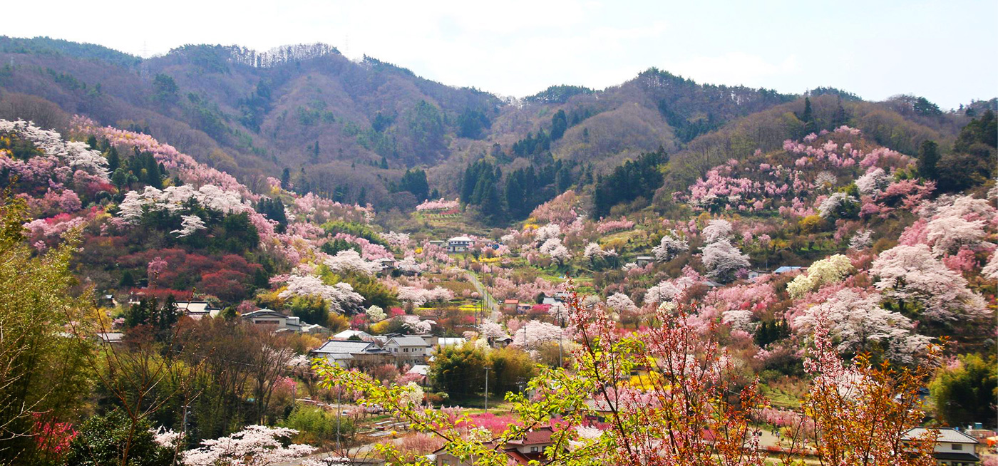 福島県春の里山風景