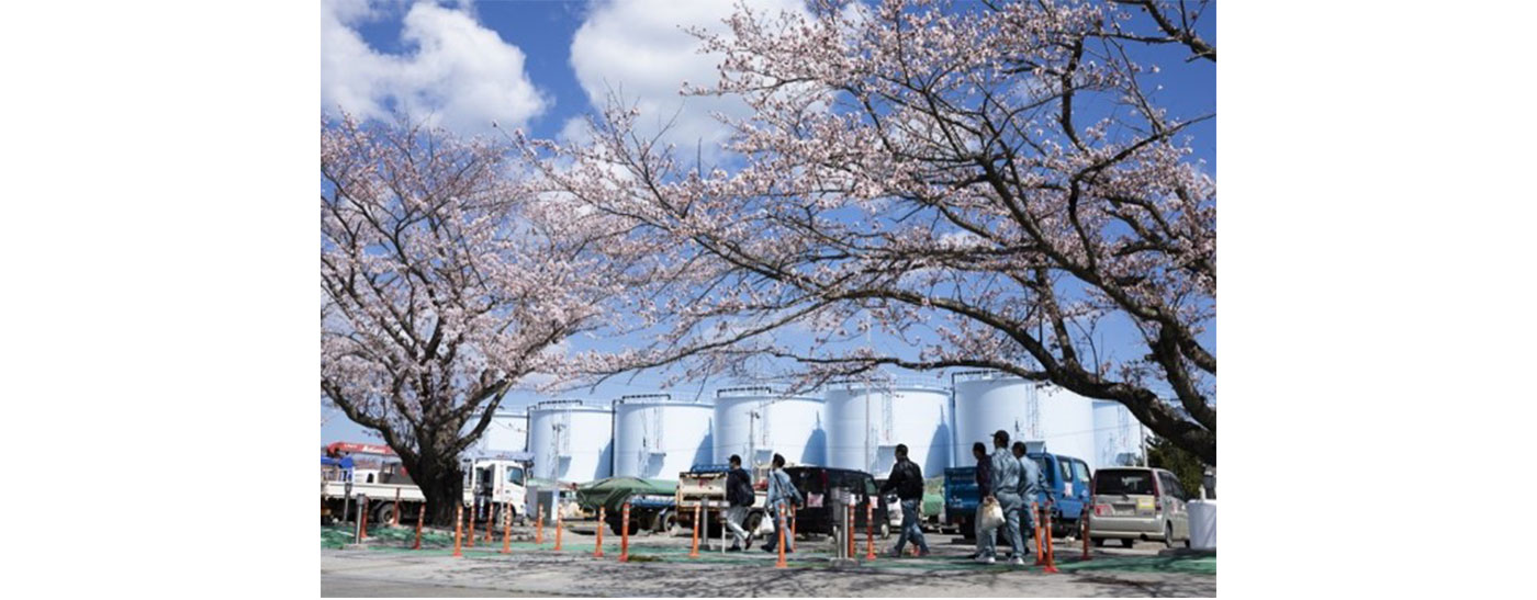 満開の桜の下の貯蔵タンク