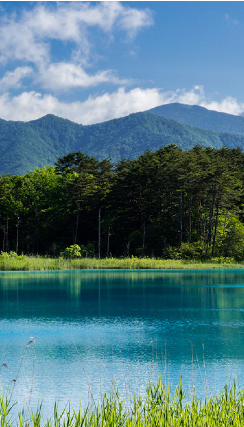 福島の魅力